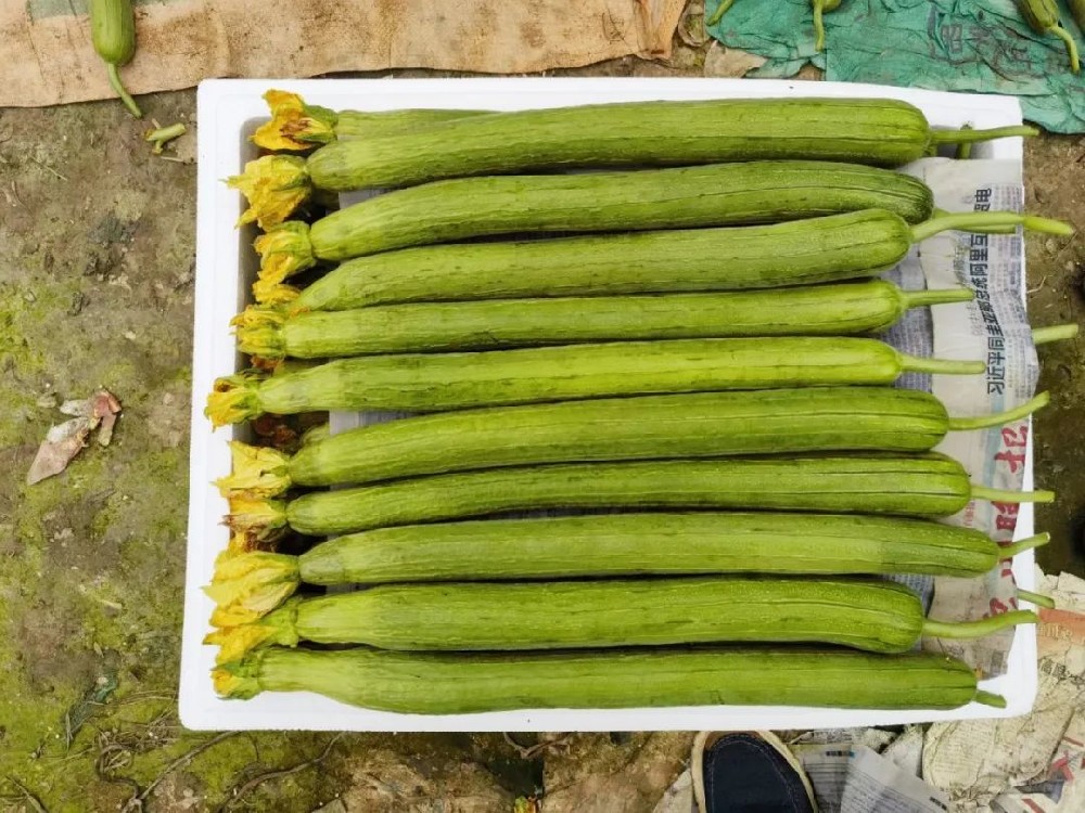 1679035150121466.jpg 微信圖片_20230317144020.jpg