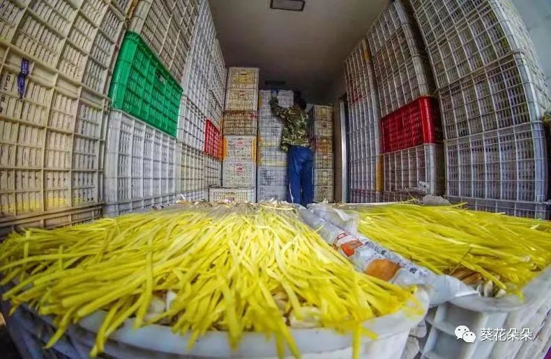 1679035488435112.jpg 微信圖片_20230317144639.jpg